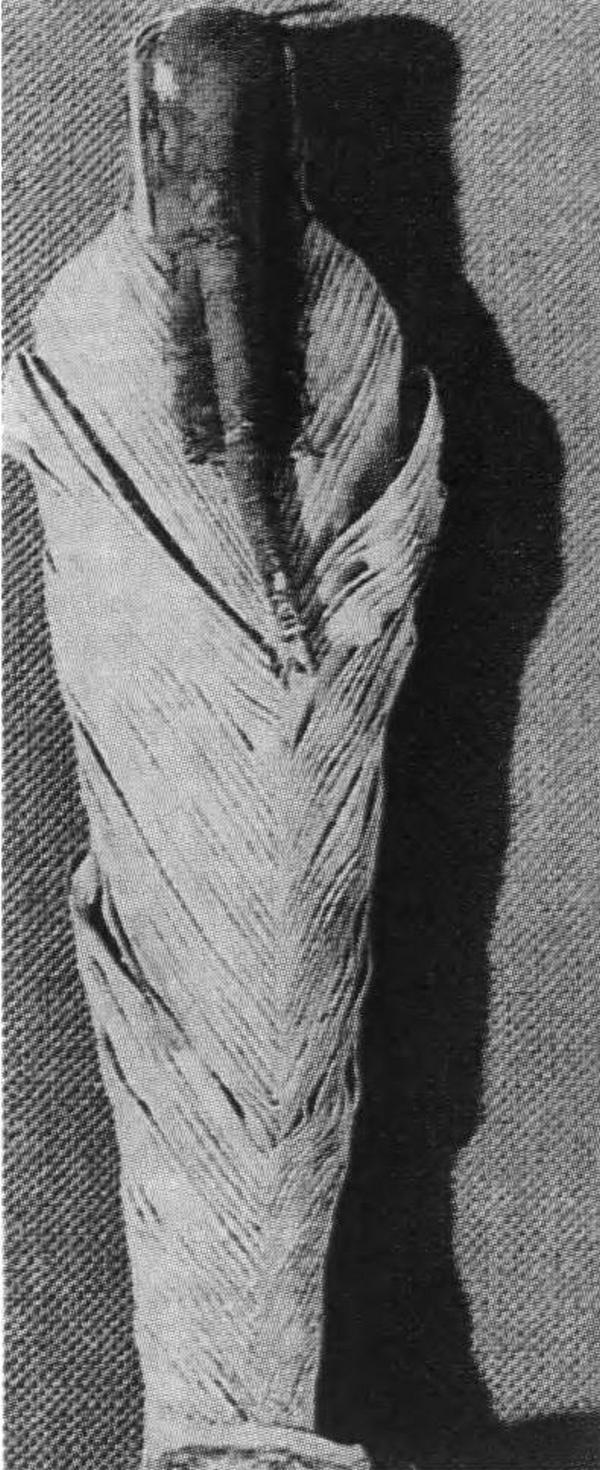 Иллюстрация к книге — Повседневная жизнь египетских богов [i_030.jpg]