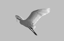 Иллюстрация к книге — Фивы [img9b3e.jpg]