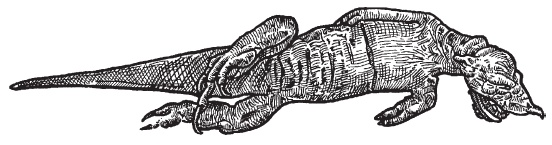 Иллюстрация к книге — Танцы с драконами. Мифы и легенды [i_016.jpg]