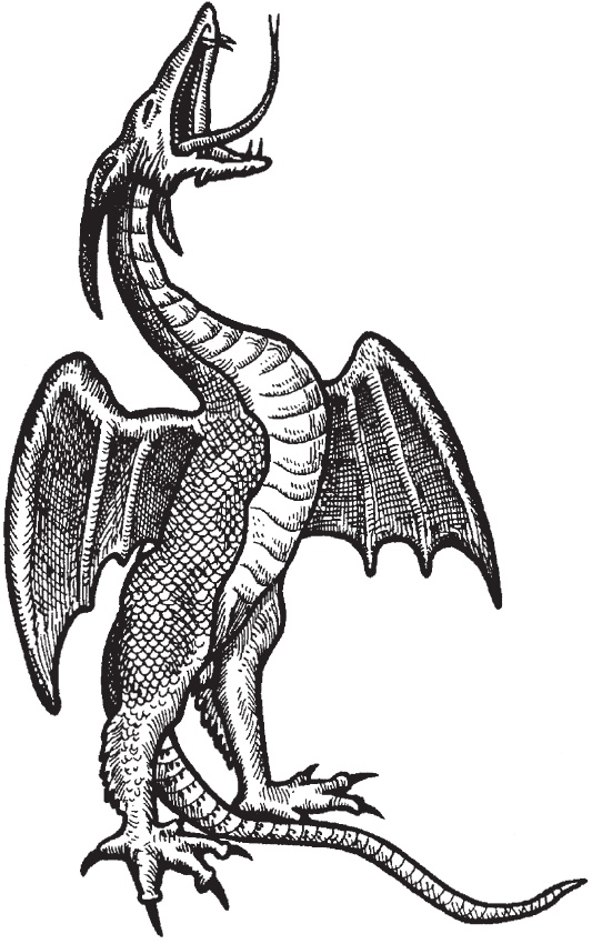 Иллюстрация к книге — Танцы с драконами. Мифы и легенды [i_020.jpg]