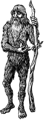 Иллюстрация к книге — Мифологические существа народов мира. Магические свойства и возможности взаимодействия [i_020.jpg]