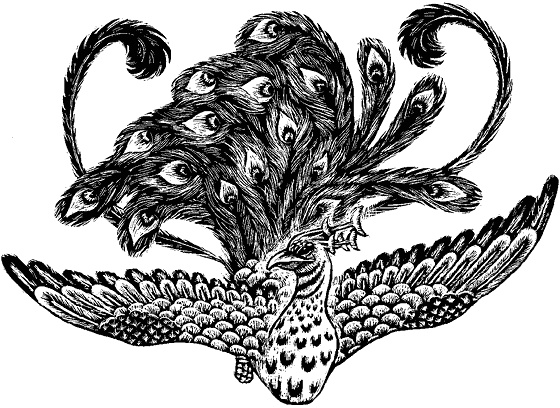 Иллюстрация к книге — Мифологические существа народов мира. Магические свойства и возможности взаимодействия [i_022.jpg]