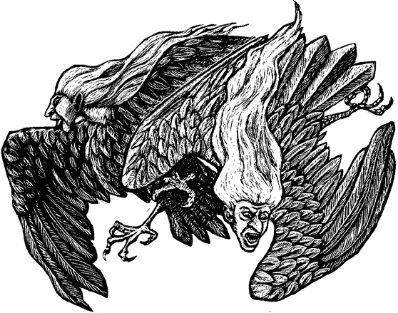 Иллюстрация к книге — Мифологические существа народов мира. Магические свойства и возможности взаимодействия [i_028.jpg]