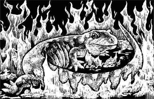 Иллюстрация к книге — Мифологические существа народов мира. Магические свойства и возможности взаимодействия [i_081.jpg]