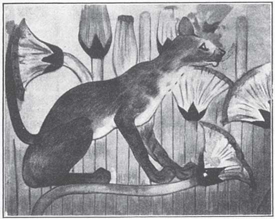 Иллюстрация к книге — Девять жизней кошки. Мифы и легенды [i_018.jpg]