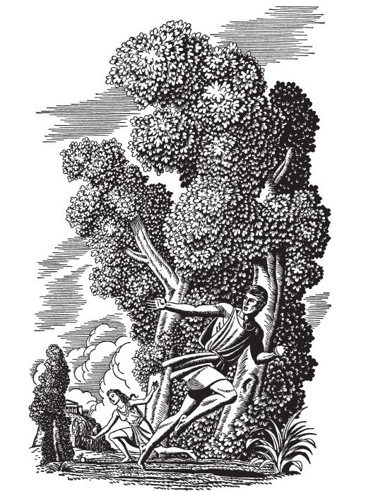 Иллюстрация к книге — Мифы и легенды Греции и Рима [i_027.jpg]