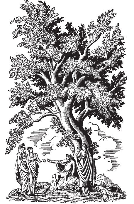 Иллюстрация к книге — Мифы и легенды Греции и Рима [i_029.jpg]