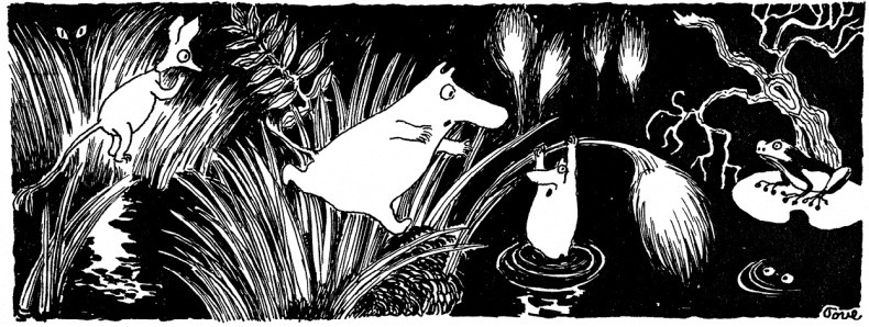 Иллюстрация к книге — Маленькие тролли и большое наводнение [i_007.jpg]