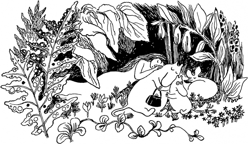 Иллюстрация к книге — Маленькие тролли и большое наводнение [i_011.jpg]