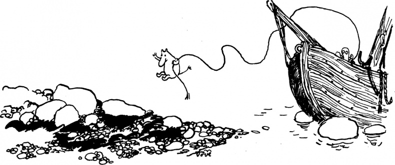 Иллюстрация к книге — Маленькие тролли и большое наводнение [i_029.jpg]