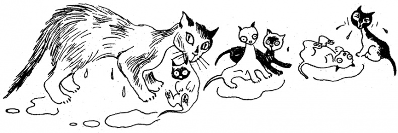 Иллюстрация к книге — Маленькие тролли и большое наводнение [i_037.jpg]