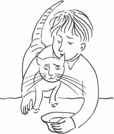 Иллюстрация к книге — Дети в семье. Психология взаимодействия [i_035.jpg]