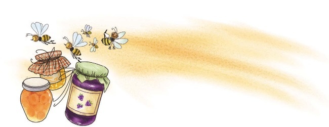 Иллюстрация к книге — Тайна старого сундука [i_037.jpg]