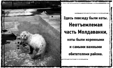 Иллюстрация к книге — Тень «Райского сада» [i_015.jpg]