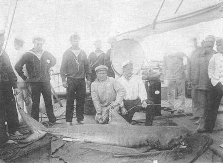 Иллюстрация к книге — Полуброненосные фрегаты «Генерал-Адмирал» и «Герцог Эдинбургский», 1869–1918 [pic_32.jpg]