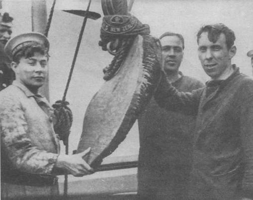 Иллюстрация к книге — Линейные крейсера Англии. Часть I [pic_56.jpg]