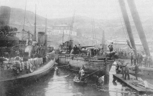 Иллюстрация к книге — Миноносцы Первой эскадры флота Тихого океана в русско-японской войне (1904-1905 гг.) [pic_69.jpg]