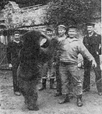 Иллюстрация к книге — На линейном крейсере Гебен [pic_46.jpg]