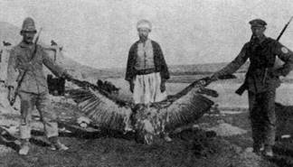 Иллюстрация к книге — На линейном крейсере Гебен [pic_71.jpg]