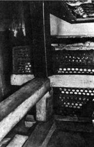 Иллюстрация к книге — Гвардейский крейсер «Красный Кавказ». [pic_32.jpg]