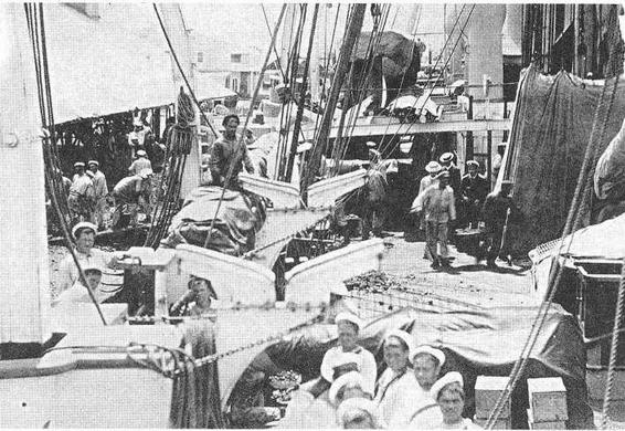 Иллюстрация к книге — Корветы “Витязь” и “Рында”. 1882-1922 гг. [img_11.jpg]