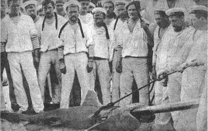 Иллюстрация к книге — Корветы “Витязь” и “Рында”. 1882-1922 гг. [img_27.jpg]