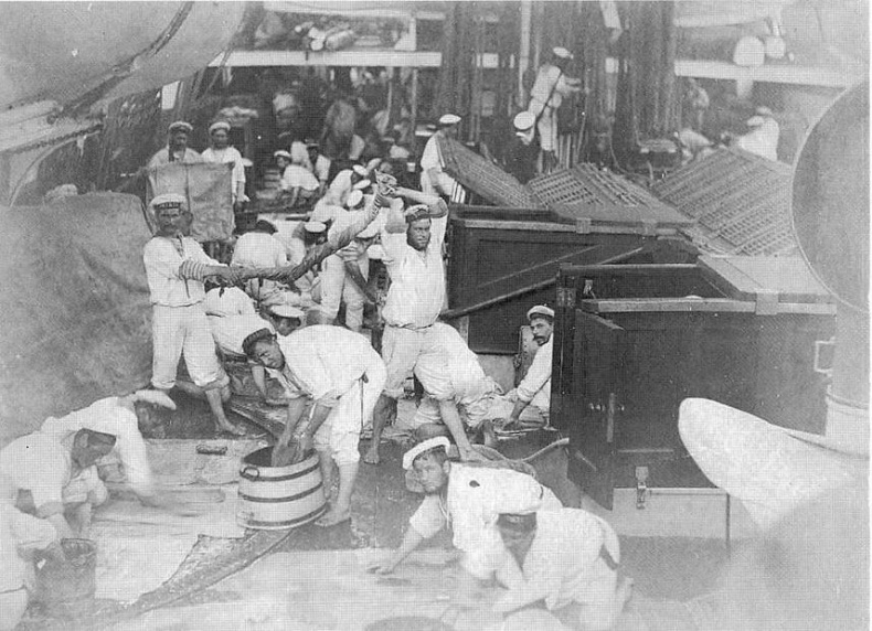 Иллюстрация к книге — Корветы “Витязь” и “Рында”. 1882-1922 гг. [img_61.jpg]