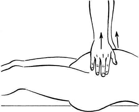 Иллюстрация к книге — Мать и дитя. Энциклопедия счастливого материнства от зачатия до первых шагов [_109.jpg]