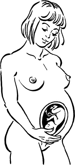 Иллюстрация к книге — Мать и дитя. Энциклопедия счастливого материнства от зачатия до первых шагов [_13.jpg]