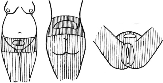 Иллюстрация к книге — Мать и дитя. Энциклопедия счастливого материнства от зачатия до первых шагов [_141.jpg]