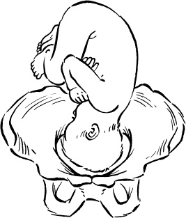 Иллюстрация к книге — Мать и дитя. Энциклопедия счастливого материнства от зачатия до первых шагов [_151.jpg]