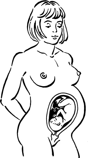 Иллюстрация к книге — Мать и дитя. Энциклопедия счастливого материнства от зачатия до первых шагов [_16.jpg]