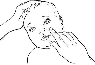 Иллюстрация к книге — Мать и дитя. Энциклопедия счастливого материнства от зачатия до первых шагов [_165.jpg]