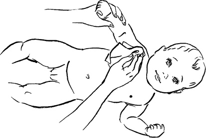 Иллюстрация к книге — Мать и дитя. Энциклопедия счастливого материнства от зачатия до первых шагов [_166.jpg]