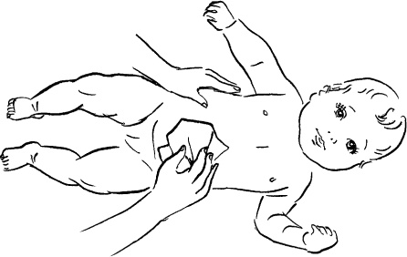 Иллюстрация к книге — Мать и дитя. Энциклопедия счастливого материнства от зачатия до первых шагов [_168.jpg]