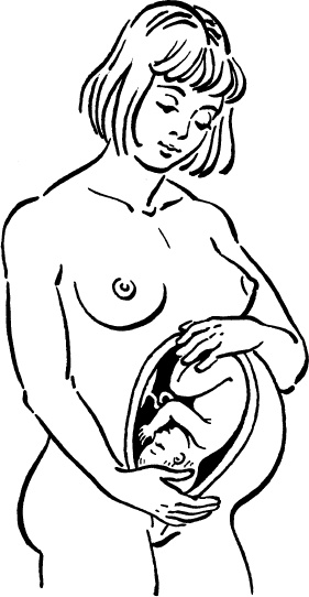 Иллюстрация к книге — Мать и дитя. Энциклопедия счастливого материнства от зачатия до первых шагов [_17.jpg]