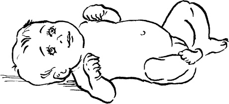 Иллюстрация к книге — Мать и дитя. Энциклопедия счастливого материнства от зачатия до первых шагов [_190.jpg]