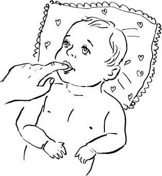 Иллюстрация к книге — Мать и дитя. Энциклопедия счастливого материнства от зачатия до первых шагов [_191.jpg]