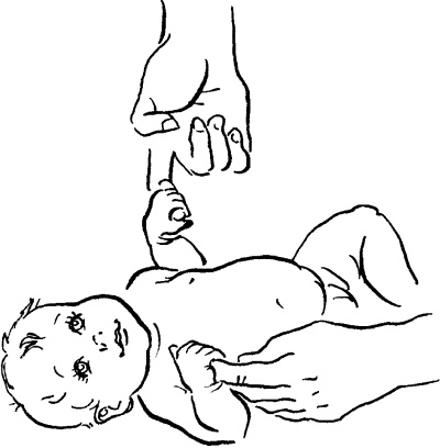 Иллюстрация к книге — Мать и дитя. Энциклопедия счастливого материнства от зачатия до первых шагов [_193.jpg]