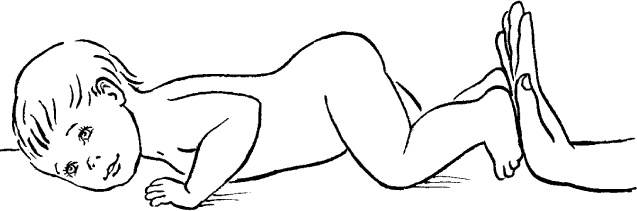 Иллюстрация к книге — Мать и дитя. Энциклопедия счастливого материнства от зачатия до первых шагов [_194.jpg]