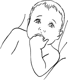 Иллюстрация к книге — Мать и дитя. Энциклопедия счастливого материнства от зачатия до первых шагов [_224.jpg]