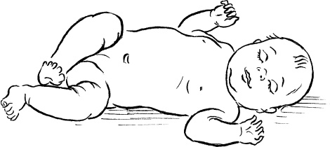 Иллюстрация к книге — Мать и дитя. Энциклопедия счастливого материнства от зачатия до первых шагов [_225.jpg]