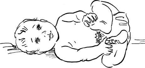 Иллюстрация к книге — Мать и дитя. Энциклопедия счастливого материнства от зачатия до первых шагов [_235.jpg]