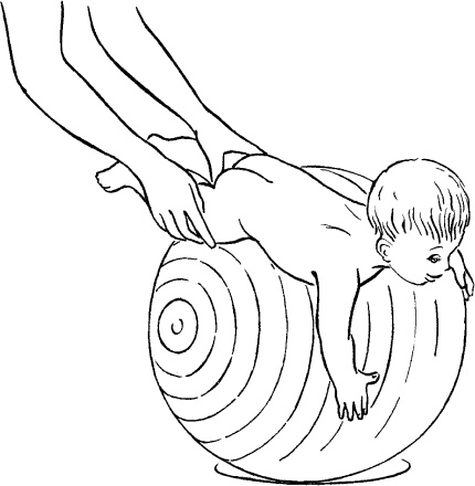 Иллюстрация к книге — Мать и дитя. Энциклопедия счастливого материнства от зачатия до первых шагов [_286.jpg]