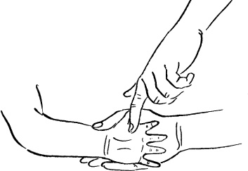 Иллюстрация к книге — Мать и дитя. Энциклопедия счастливого материнства от зачатия до первых шагов [_310.jpg]