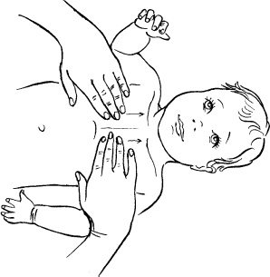 Иллюстрация к книге — Мать и дитя. Энциклопедия счастливого материнства от зачатия до первых шагов [_375.jpg]