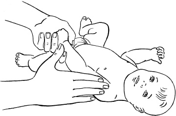 Иллюстрация к книге — Мать и дитя. Энциклопедия счастливого материнства от зачатия до первых шагов [_377.jpg]