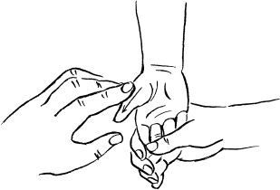 Иллюстрация к книге — Мать и дитя. Энциклопедия счастливого материнства от зачатия до первых шагов [_380.jpg]