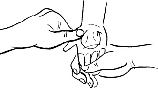 Иллюстрация к книге — Мать и дитя. Энциклопедия счастливого материнства от зачатия до первых шагов [_381.jpg]