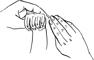 Иллюстрация к книге — Мать и дитя. Энциклопедия счастливого материнства от зачатия до первых шагов [_382.jpg]